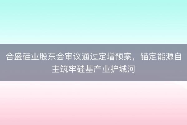 合盛硅业股东会审议通过定增预案，锚定能源自主筑牢硅基产业护城河