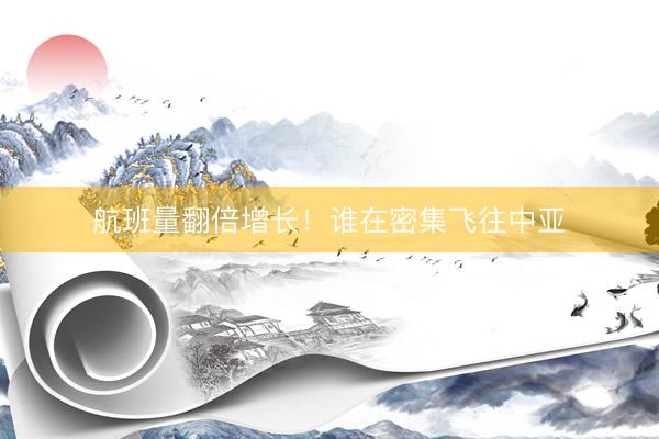 航班量翻倍增长！谁在密集飞往中亚