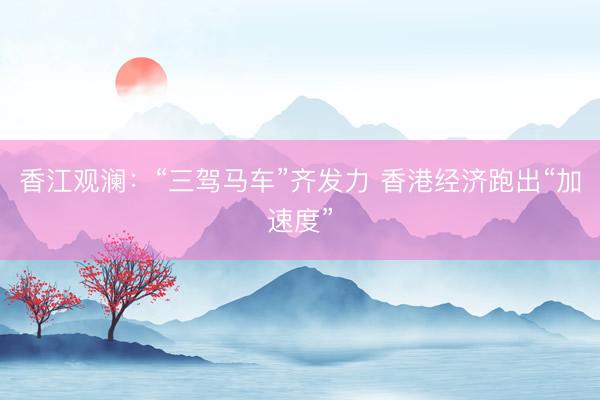 香江观澜：“三驾马车”齐发力 香港经济跑出“加速度”