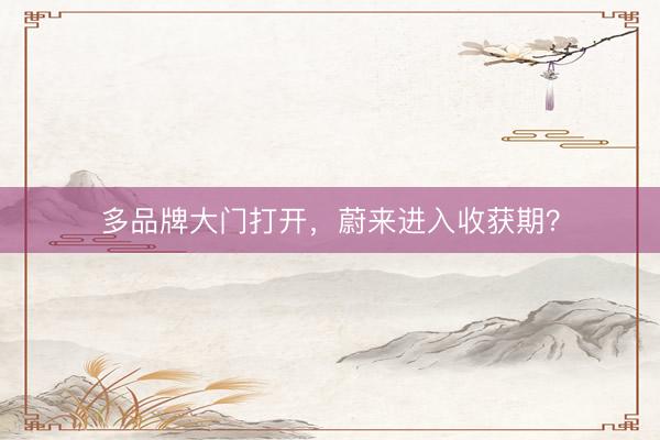多品牌大门打开，蔚来进入收获期？