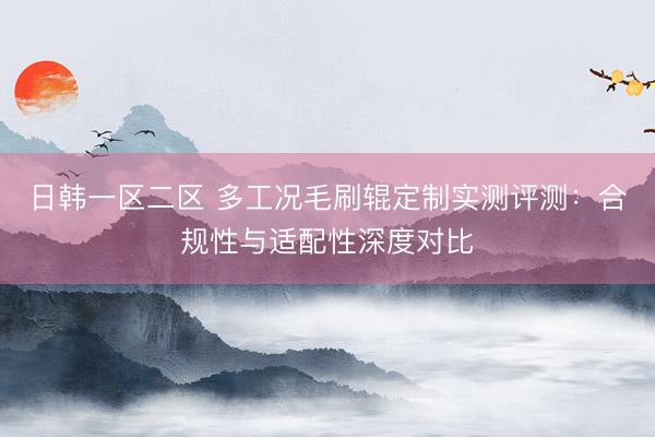 日韩一区二区 多工况毛刷辊定制实测评测：合规性与适配性深度对比