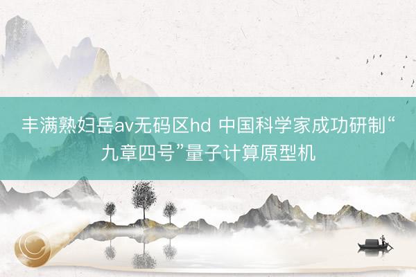 丰满熟妇岳av无码区hd 中国科学家成功研制“九章四号”量子计算原型机