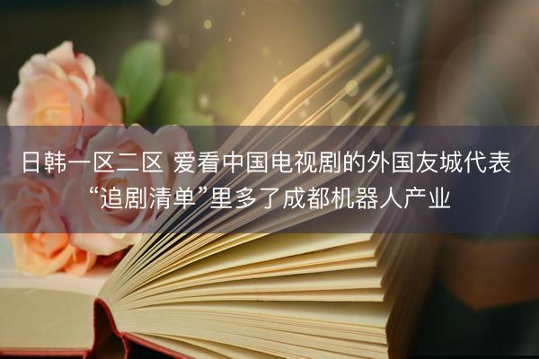 日韩一区二区 爱看中国电视剧的外国友城代表 “追剧清单”里多了成都机器人产业