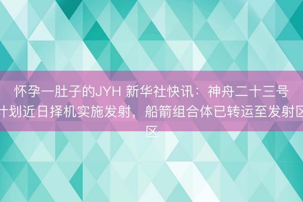 怀孕一肚子的JYH 新华社快讯：神舟二十三号计划近日择机实施发射，船箭组合体已转运至发射区