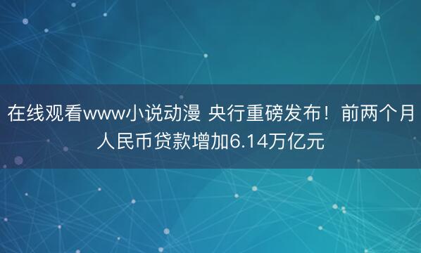在线观看www小说动漫 央行重磅发布！前两个月人民币贷款增加6.14万亿元