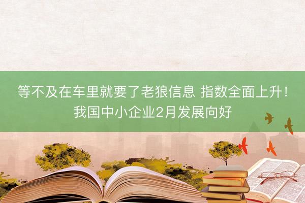 等不及在车里就要了老狼信息 指数全面上升！我国中小企业2月发展向好