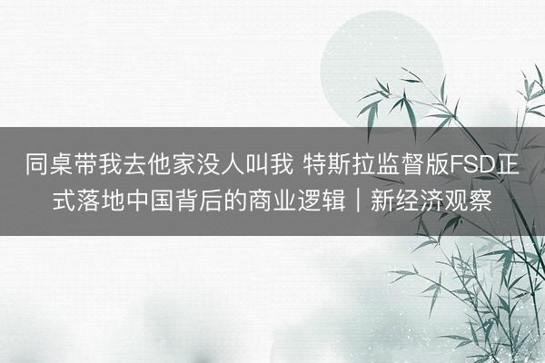 同桌带我去他家没人叫我 特斯拉监督版FSD正式落地中国背后的商业逻辑｜新经济观察