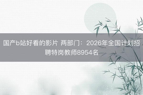国产b站好看的影片 两部门：2026年全国计划招聘特岗教师8954名