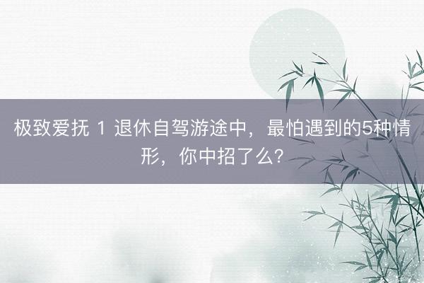 极致爱抚 1 退休自驾游途中，最怕遇到的5种情形，你中招了么？
