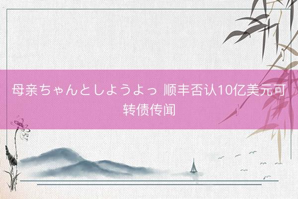 母亲ちゃんとしようよっ 顺丰否认10亿美元可转债传闻