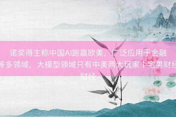 诺奖得主称中国AI跑赢欧美，广泛应用于金融等多领域，大模型领域只有中美两大玩家｜宅男财经