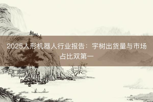 2025人形机器人行业报告：宇树出货量与市场占比双第一