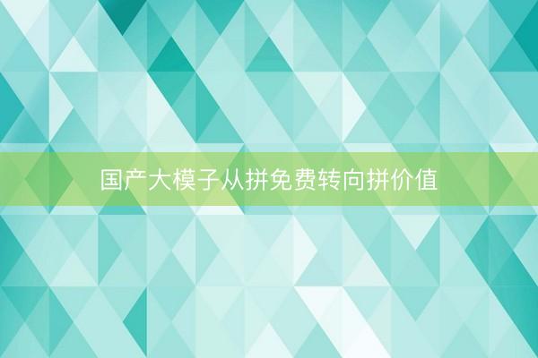 国产大模子从拼免费转向拼价值