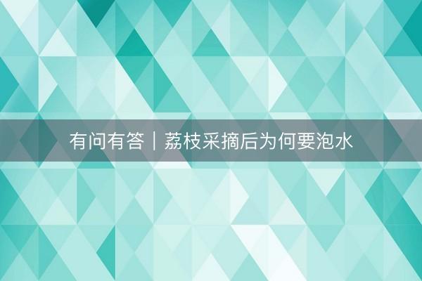 有问有答｜荔枝采摘后为何要泡水