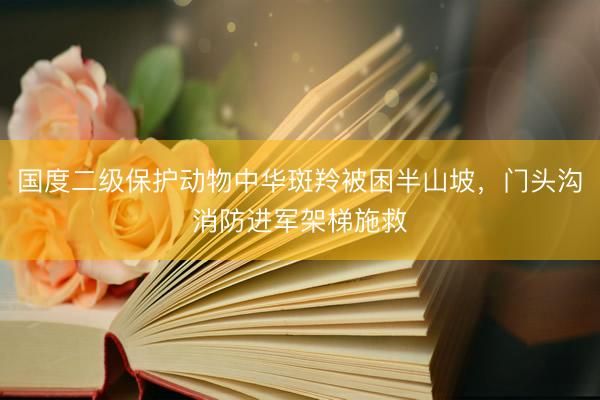 国度二级保护动物中华斑羚被困半山坡，<a href=