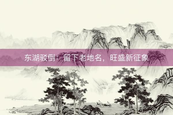 东湖驳倒：留下老地名，旺盛新征象