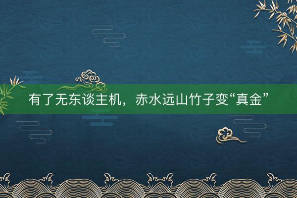 有了无东谈主机，赤水远山竹子变“真金”