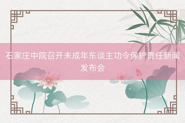 石家庄中院召开未成年东谈主功令保护责任新闻发布会
