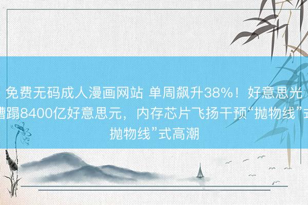 免费无码成人漫画网站 单周飙升38%！好意思光市值蹧蹋8400亿好意思元，内存芯片飞扬干预“抛物线”式高潮