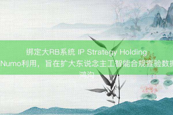 绑定大RB系统 IP Strategy Holdings推介Numo利用，旨在扩大东说念主工智能合规查验数据鸿沟
