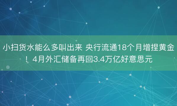小扫货水能么多叫出来 央行流通18个月增捏黄金！4月外汇储备再回3.4万亿好意思元
