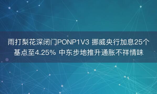 雨打梨花深闭门PONP1V3 挪威央行加息25个基点至4.25% 中东步地推升通胀不祥情味
