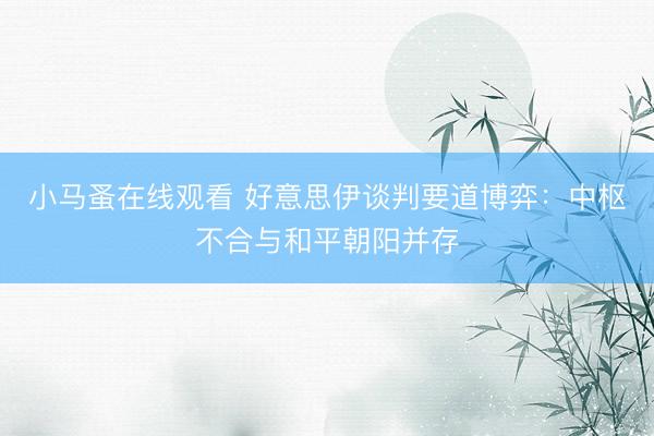 小马蚤在线观看 好意思伊谈判要道博弈：中枢不合与和平朝阳并存