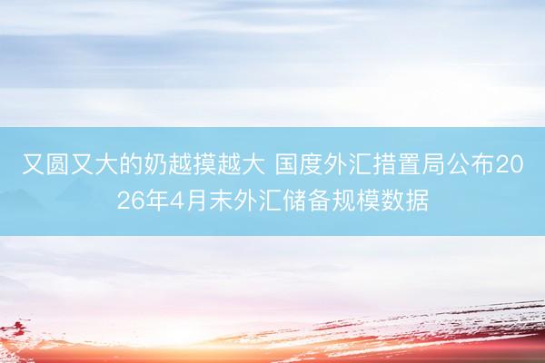 又圆又大的奶越摸越大 国度外汇措置局公布2026年4月末外汇储备规模数据
