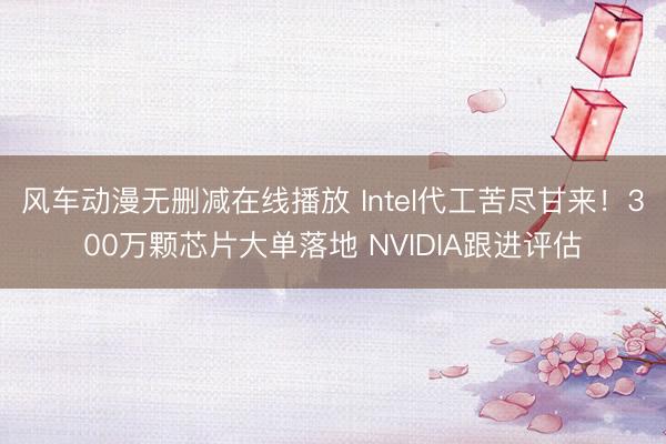 风车动漫无删减在线播放 Intel代工苦尽甘来！300万颗芯片大单落地 NVIDIA跟进评估
