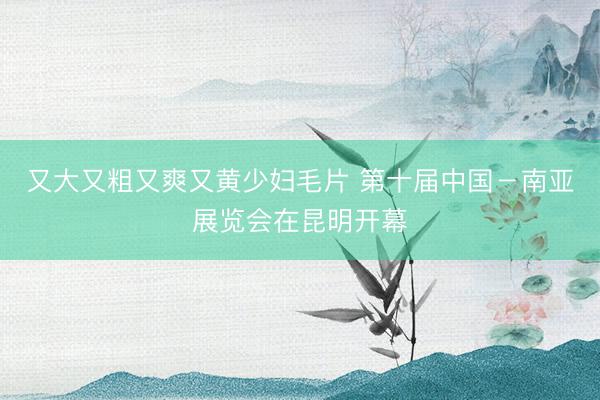 又大又粗又爽又黄少妇毛片 第十届中国－南亚展览会在昆明开幕