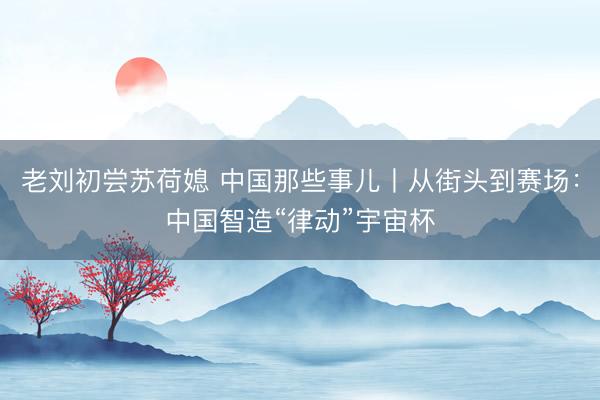 老刘初尝苏荷媳 中国那些事儿丨从街头到赛场：中国智造“律动”宇宙杯