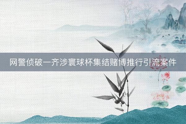 网警侦破一齐涉寰球杯集结赌博推行引流案件