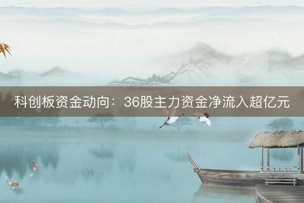 科创板资金动向：36股主力资金净流入超亿元